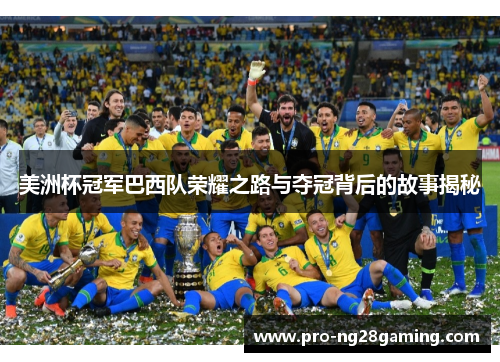 美洲杯冠军巴西队荣耀之路与夺冠背后的故事揭秘